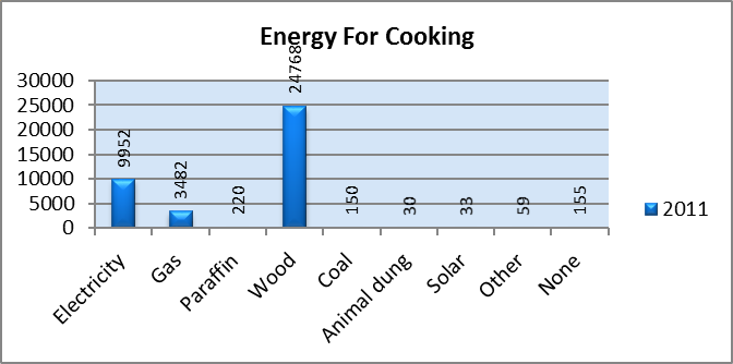 energy for cooking
