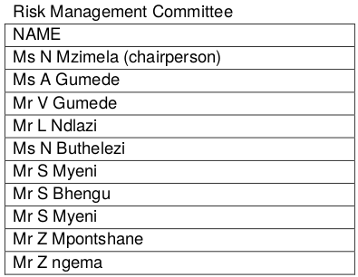 risk management committee