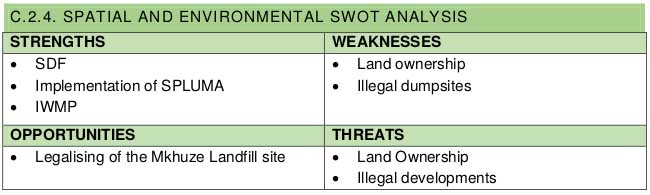 spatial and environmental swat analysis